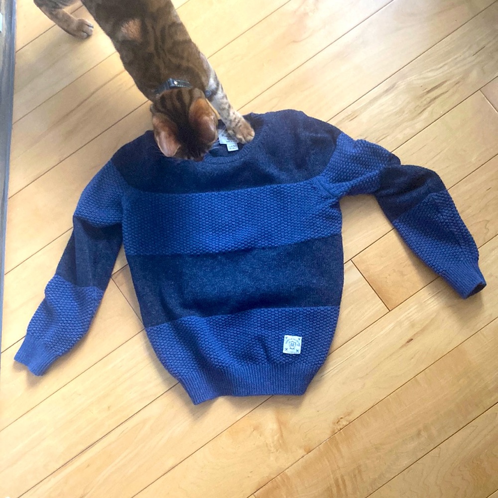 Blue striped cotton sweater